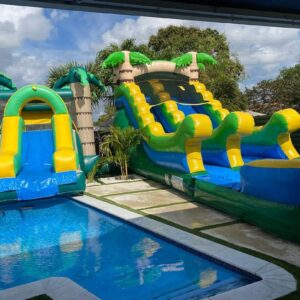 Tropical Twins Water Slide