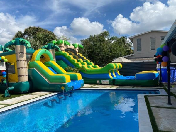 Tropical Twins Water Slide - Image 2
